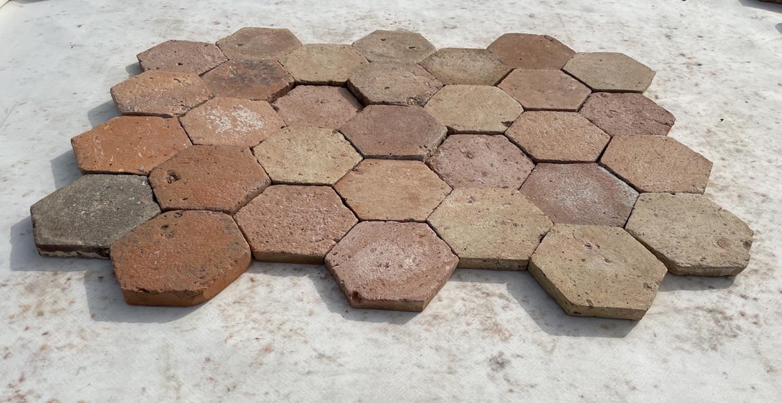 Lot d'environ 5 m² de tomettes hexagonales anciennes en terre cuite, XIXe siècle-2