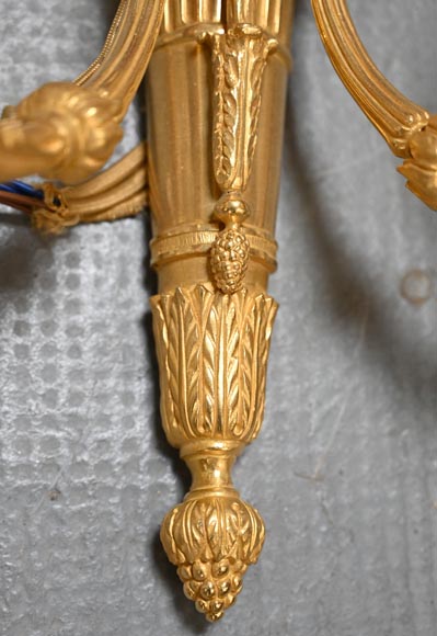 Paire d'appliques de style Louis XVI en bronze doré en forme de carquois-9