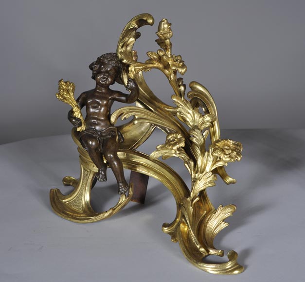 Belle paire de chenets anciens d'époque Louis XV aux Allégories de l'Eté en bronze doré et bronze à patine brune Belle paire de chenets anciens d'époque Louis XV aux Allégories de l'Eté en bronze doré et bronze à patine brune-3
