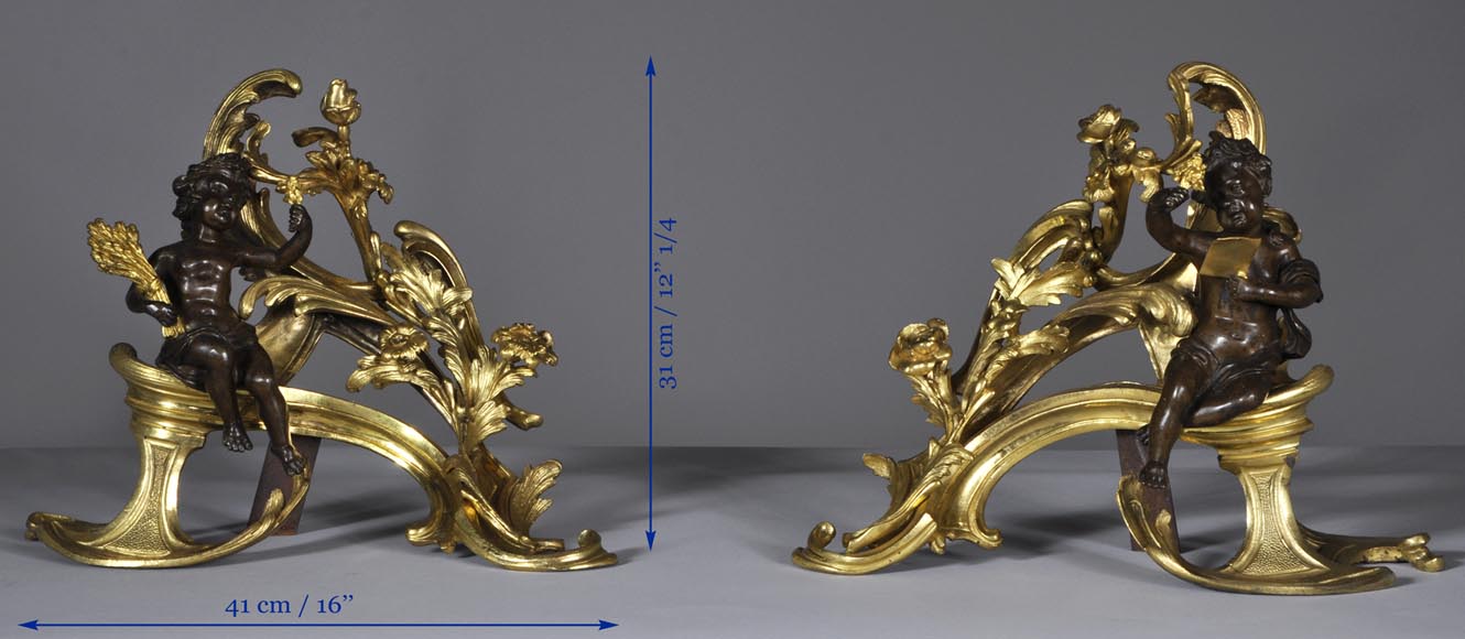 Belle paire de chenets anciens d'époque Louis XV aux Allégories de l'Eté en bronze doré et bronze à patine brune Belle paire de chenets anciens d'époque Louis XV aux Allégories de l'Eté en bronze doré et bronze à patine brune-8
