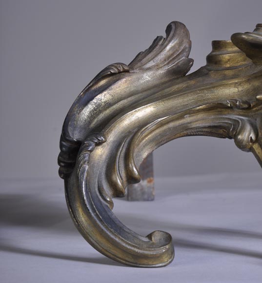 Petite paire de chenets de style Louis XV en bronze Petite paire de chenets de style Louis XV en bronze-2