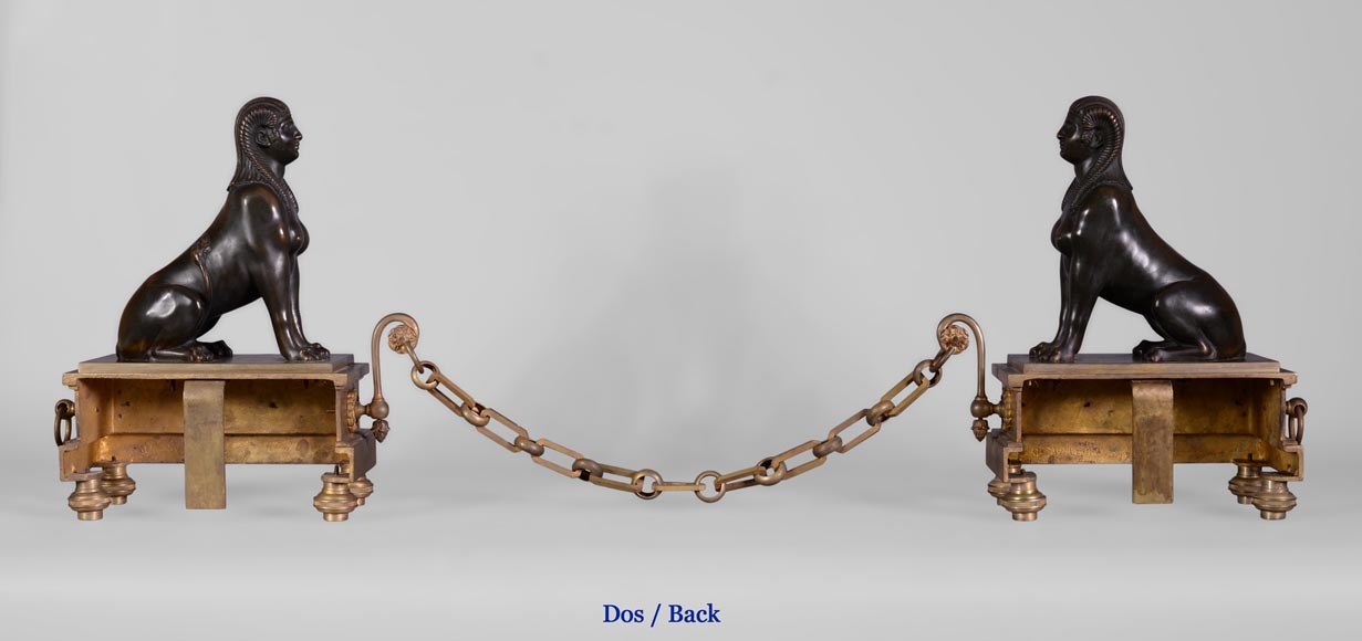 Paire de chenets de style Empire aux Sphinges, bronze doré et bronze à patine brune Paire de chenets de style Empire aux Sphinges, bronze doré et bronze à patine brune-8