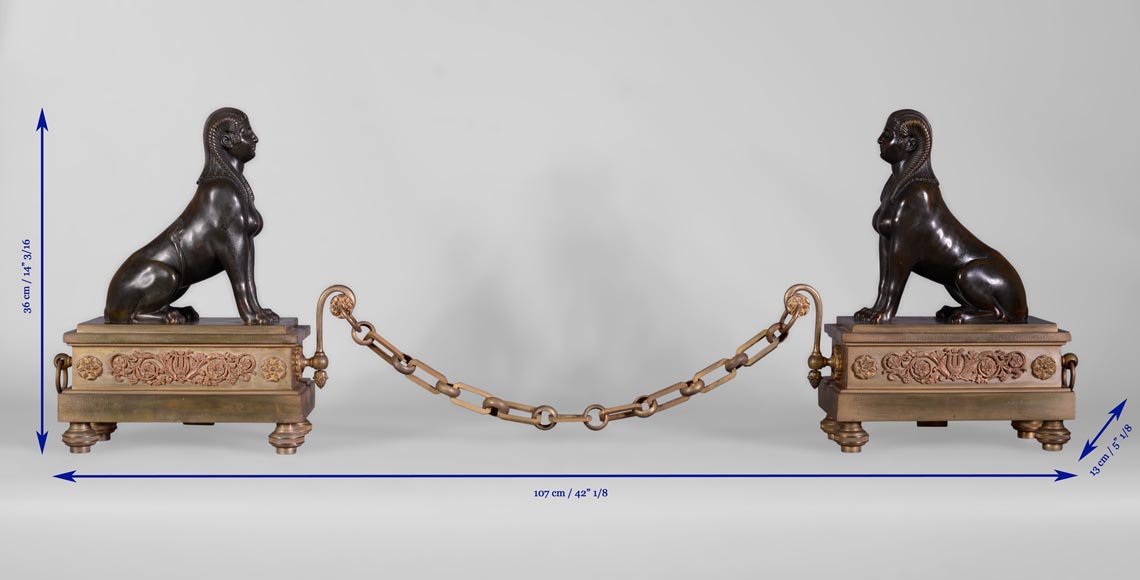Paire de chenets de style Empire aux Sphinges, bronze doré et bronze à patine brune Paire de chenets de style Empire aux Sphinges, bronze doré et bronze à patine brune-9