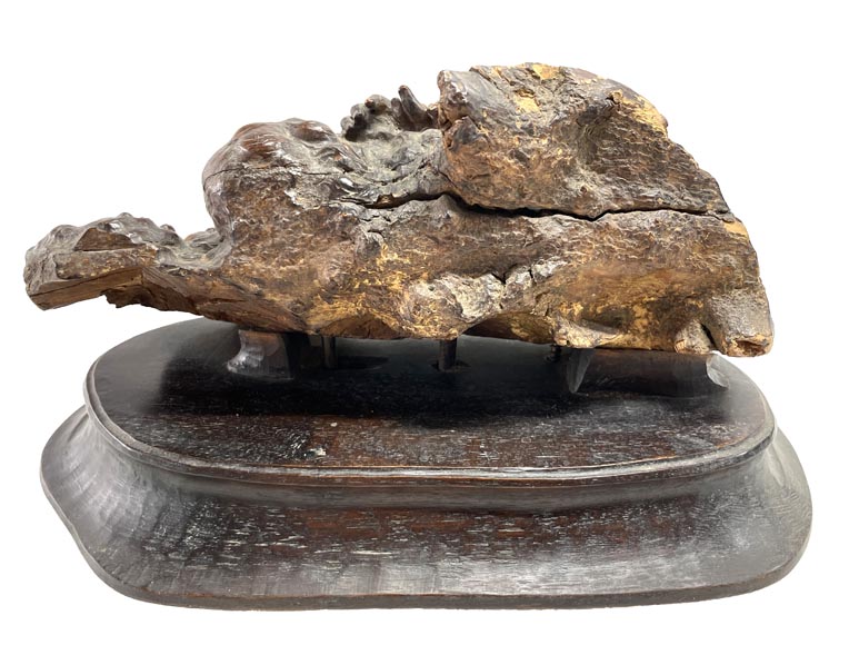 STEINER, Hermann, L’Âme égarée STEINER, Hermann, L’Âme égarée-5