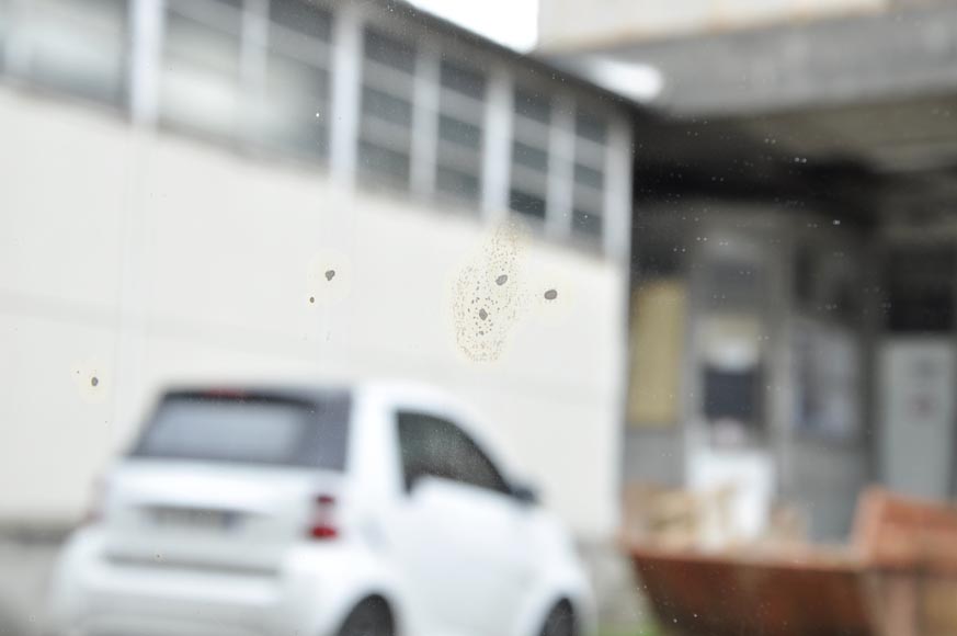 Trumeau ancien de style Louis XVI à frise de laurier Trumeau ancien de style Louis XVI à frise de laurier-4