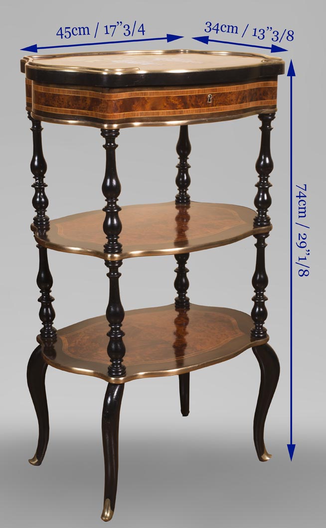 Julien-Nicolas RIVART (1802-1867) - Petit chevet à décor de glycines en marqueterie de porcelaine Julien-Nicolas RIVART (1802-1867) - Petit chevet à décor de glycines en marqueterie de porcelaine-4