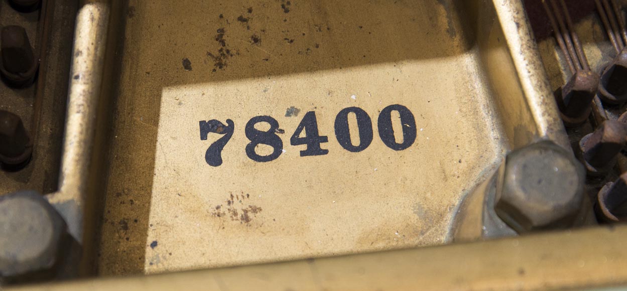 Steinway & Sons – Th. Kammerer (Cuel & cie), Piano à queue de concert (pièce unique) ayant appartenu à Cornelius Vanderbilt II Steinway & Sons – Th. Kammerer (Cuel & cie), Piano à queue de concert (pièce unique) ayant appartenu à Cornelius Vanderbilt II-11