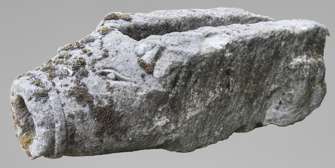 Tête de sanglier, ancienne gargouille en pierre Tête de sanglier, ancienne gargouille en pierre-0