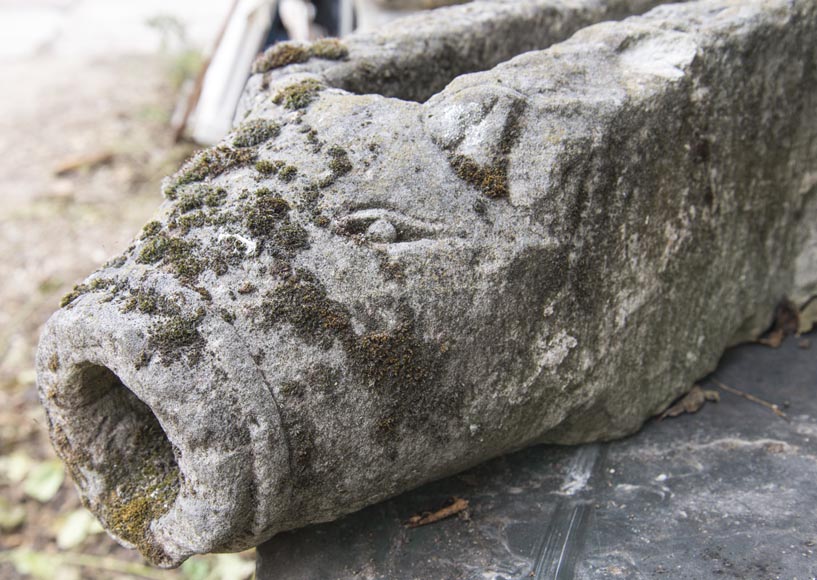 Tête de sanglier, ancienne gargouille en pierre Tête de sanglier, ancienne gargouille en pierre-1