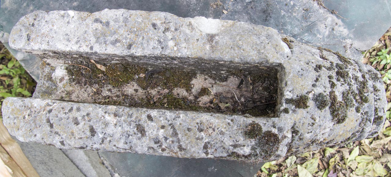 Tête de sanglier, ancienne gargouille en pierre Tête de sanglier, ancienne gargouille en pierre-3