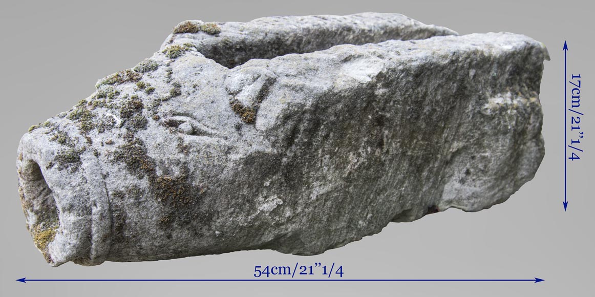 Tête de sanglier, ancienne gargouille en pierre Tête de sanglier, ancienne gargouille en pierre-4