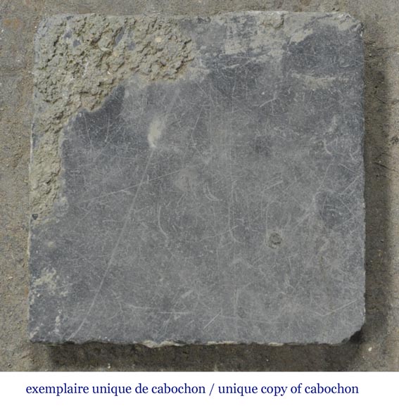 Sol composé d'un bel ensemble de cabochons octogonaux du XIXe siècle Sol composé d'un bel ensemble de cabochons octogonaux du XIXe siècle-5