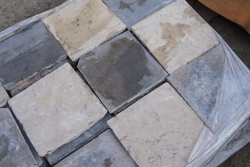 Sol en pierre marbrière et marbre composé de dalles bicolores du XVIIIe siècle Sol en pierre marbrière et marbre composé de dalles bicolores du XVIIIe siècle-1