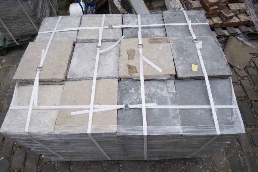 Sol en pierre marbrière et marbre composé de dalles bicolores du XVIIIe siècle Sol en pierre marbrière et marbre composé de dalles bicolores du XVIIIe siècle-3