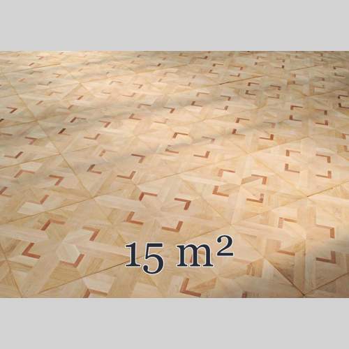 Beau parquet ancien en chêne et acajou d'une surface de 15 m2