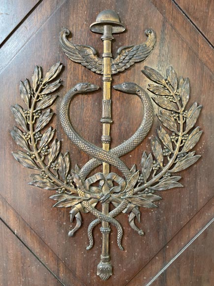 Ensemble de pièces de boiserie et bibliothèque de style Empire en acajou et bronze Ensemble de pièces de boiserie et bibliothèque de style Empire en acajou et bronze-3