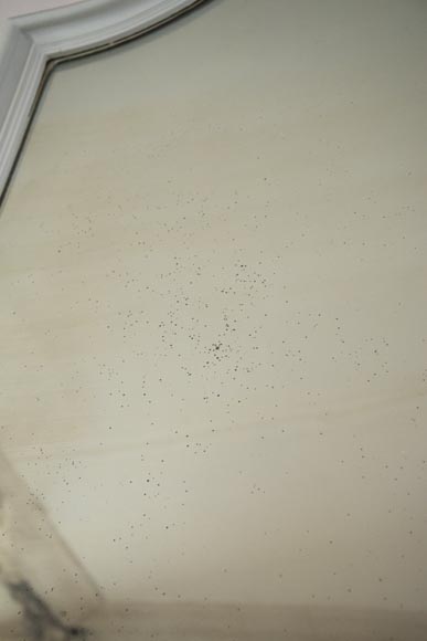 Trumeau ancien de style Louis XV sculpté d'une belle coquille asymétrique Trumeau ancien de style Louis XV sculpté d'une belle coquille asymétrique-4