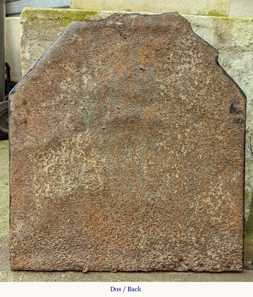 Petite plaque de cheminée d'époque Louis XIV aux armes de France-5