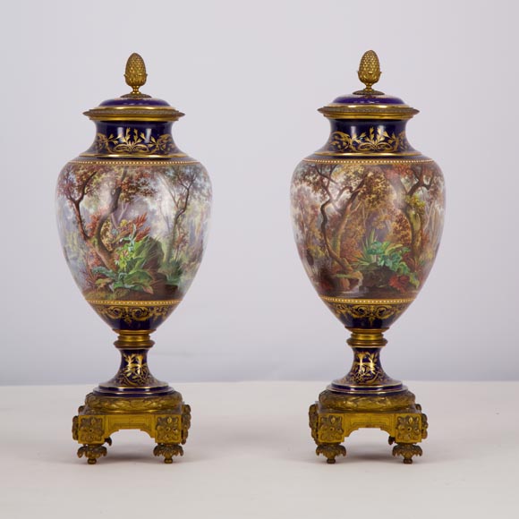 Paire de vases en porcelaine Sèvres montés en bronze doré et peints par J. Machereau, vers 1870 Paire de vases en porcelaine Sèvres montés en bronze doré et peints par J. Machereau, vers 1870-2