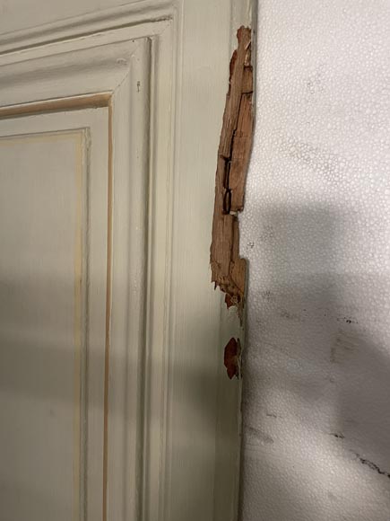 Lot de trois double portes en bois peint Lot de trois double portes en bois peint-10