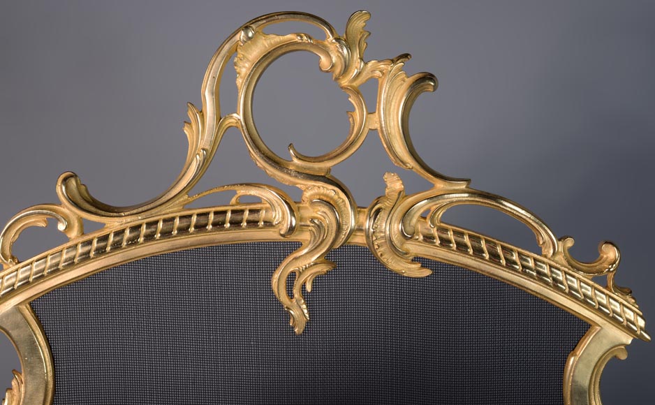 Pare-étincelle de style Louis XV en bronze doré au décor végétal Pare-étincelle de style Louis XV en bronze doré au décor végétal-3