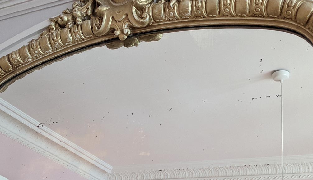 Trumeau de style Régence au cartouche fleuri Trumeau de style Régence au cartouche fleuri-3