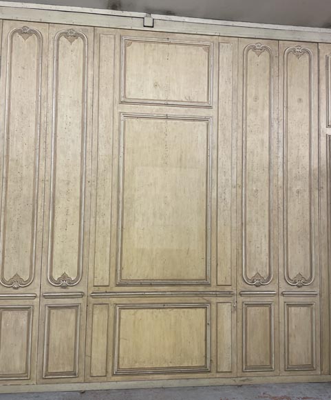 Pièces de boiserie de style Louis XV en bois laqué Pièces de boiserie de style Louis XV en bois laqué-0