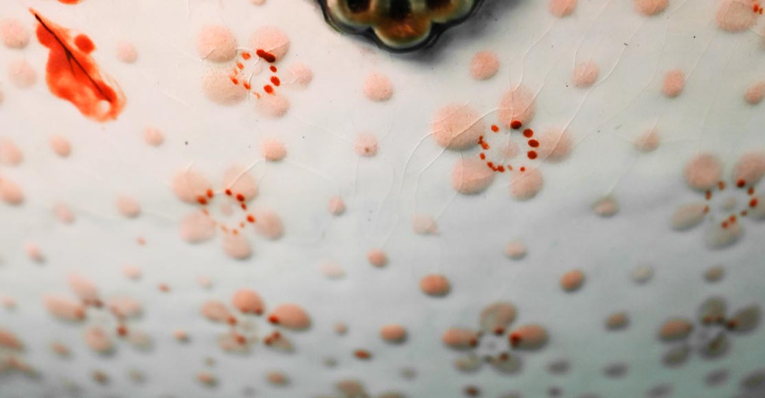 Le vase au Ara royal peint par Albert-Léon LEBARQUE et sa sellette d’origine. Le vase au Ara royal peint par Albert-Léon LEBARQUE et sa sellette d’origine.-10