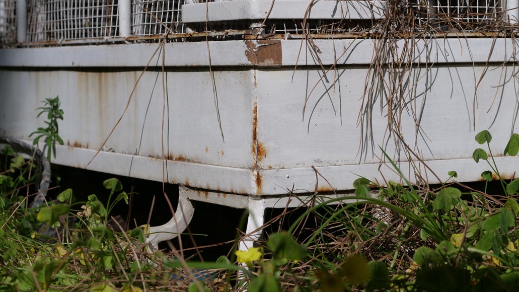 Grande cage à oiseau en fer Grande cage à oiseau en fer-8