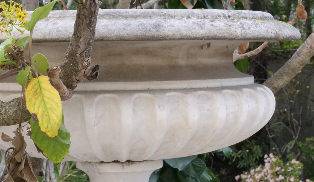 Paire de vasques de style classique en marbre Paire de vasques de style classique en marbre-8