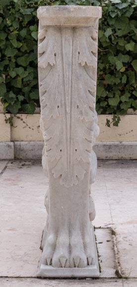 Table à piétement néoclassique du XIXe, plateau postérieur Table à piétement néoclassique du XIXe, plateau postérieur-9