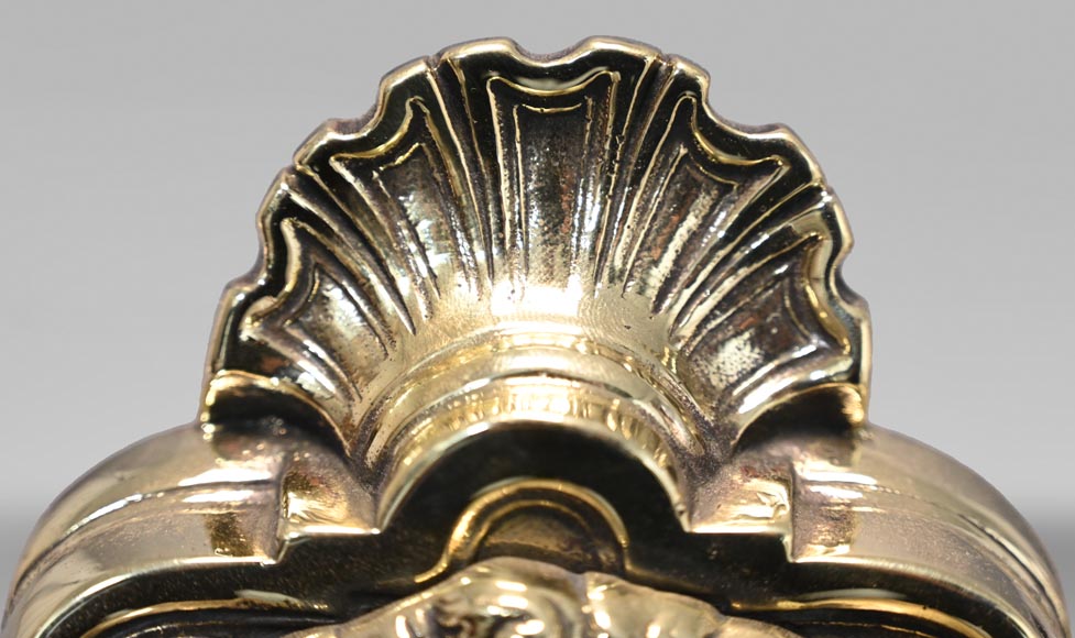 Paire de chenets aux têtes de lion Paire de chenets aux têtes de lion-3