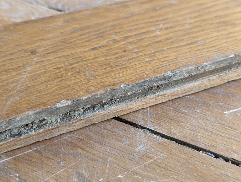 Lot de 12 m² de parquet Point de Hongrie Lot de 12 m² de parquet Point de Hongrie-5