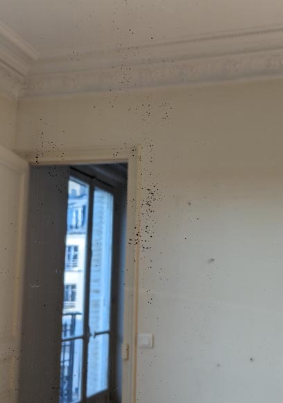 Trumeau doré de style Napoléon III à coquille ajourée Trumeau doré de style Napoléon III à coquille ajourée-8