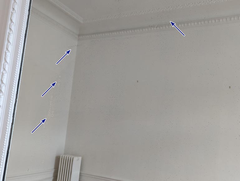 Trumeau de style Louis XVI au panier fleuri et guirlande de fleurs Trumeau de style Louis XVI au panier fleuri et guirlande de fleurs-7