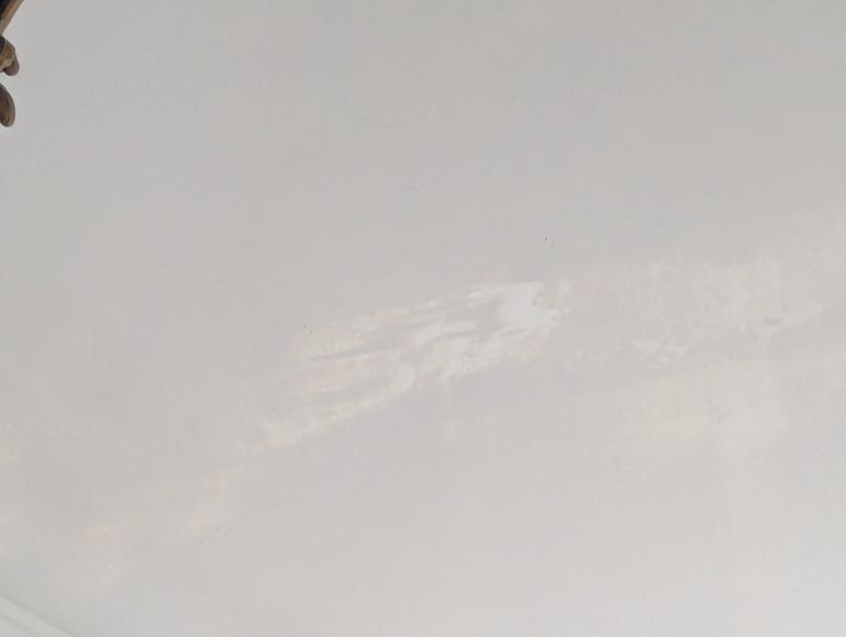 Trumeau de style Napoléon III orné de branches Trumeau de style Napoléon III orné de branches-7