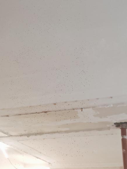 Trumeau de style Louis XVI décoré d'une couronne de fleurs Trumeau de style Louis XVI décoré d'une couronne de fleurs-7