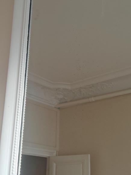 Trumeau de style Régence surmonté d'une palmette Trumeau de style Régence surmonté d'une palmette-5