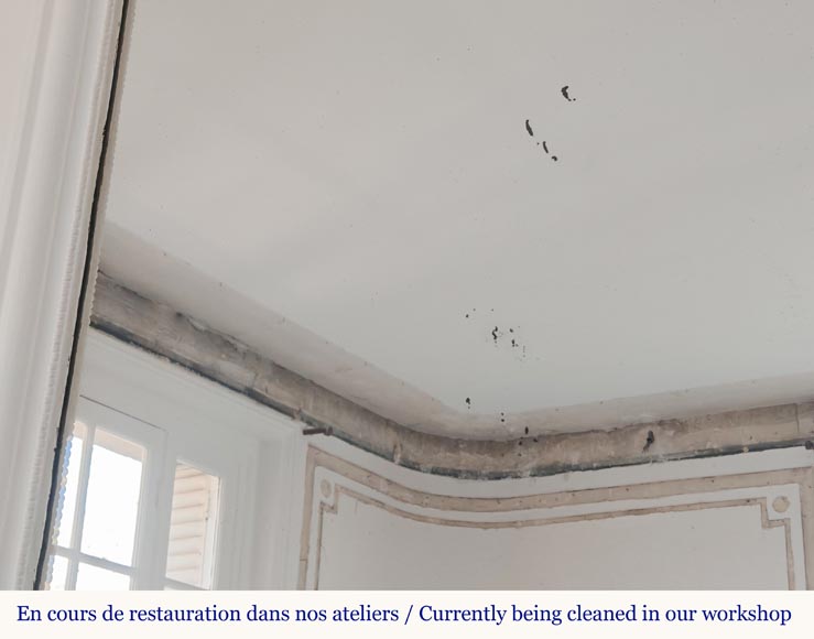 Trumeau de style Louis XVI orné de guirlande de fleur Trumeau de style Louis XVI orné de guirlande de fleur-6