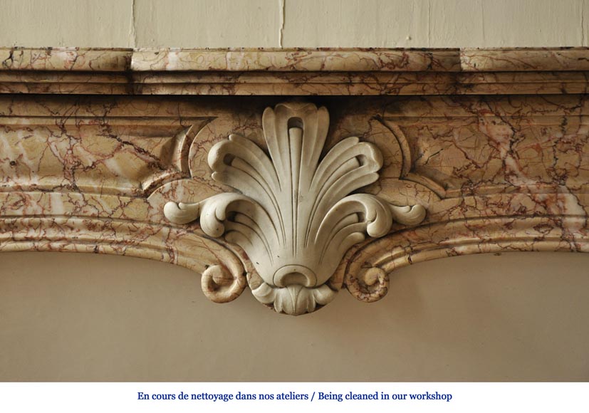 Cheminée ancienne de style Louis XV en mabre Breccia Nuvolata avec sa coquille en marbre de Carrare Cheminée ancienne de style Louis XV en mabre Breccia Nuvolata avec sa coquille en marbre de Carrare-1