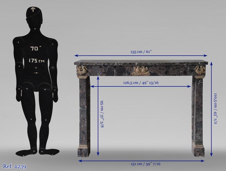 Cheminée ancienne de style Empire en brêche de Waulsort et décors en albâtre Cheminée ancienne de style Empire en brêche de Waulsort et décors en albâtre-9