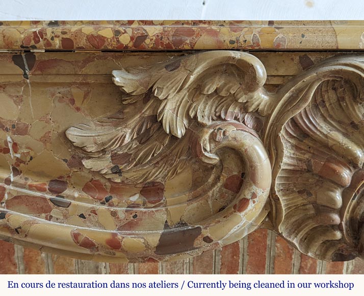 Cheminée d'époque Louis XV en brèche d'Alep avec coquille ailée Cheminée d'époque Louis XV en brèche d'Alep avec coquille ailée-2