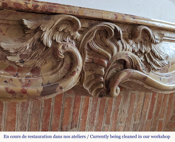 Cheminée d'époque Louis XV en brèche d'Alep avec coquille ailée Cheminée d'époque Louis XV en brèche d'Alep avec coquille ailée-3