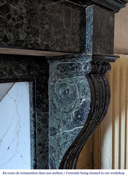 Cheminée de style Napoléon III à pattes de lions en marbre vert de mer Cheminée de style Napoléon III à pattes de lions en marbre vert de mer-4