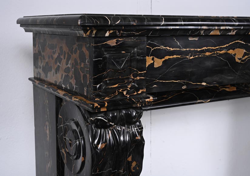 Cheminée de style Napoléon III à pattes de lion sculptée en marbre Portor Cheminée de style Napoléon III à pattes de lion sculptée en marbre Portor-3