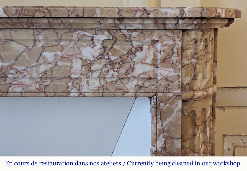 Cheminée de style Louis XVI en marbre Brocatelle à coins arrondis ornée d'un tournesol Cheminée de style Louis XVI en marbre Brocatelle à coins arrondis ornée d'un tournesol-6