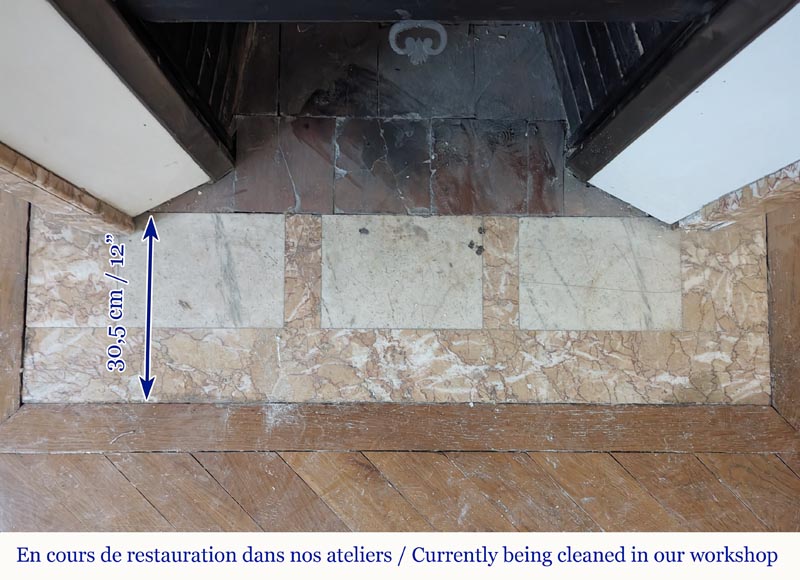 Cheminée de style Louis XVI en marbre Brocatelle à coins arrondis ornée d'un tournesol Cheminée de style Louis XVI en marbre Brocatelle à coins arrondis ornée d'un tournesol-8