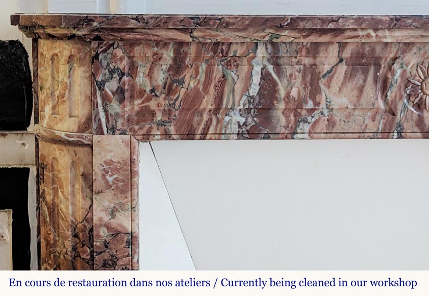 Cheminée de style Louis XVI en marbre brèché à coins arrondis ornée d'un tournesol Cheminée de style Louis XVI en marbre brèché à coins arrondis ornée d'un tournesol-3