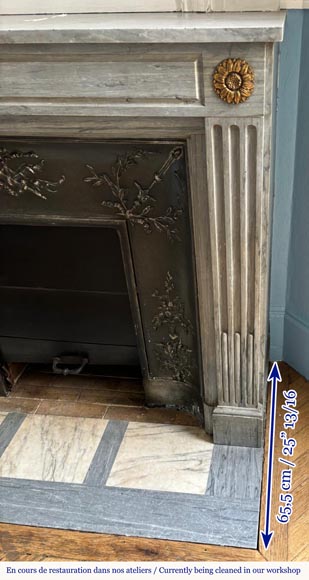 Cheminée de style Louis XVI en marbre Turquin bleu clair décorée de fleurs de tournesol en bronze Cheminée de style Louis XVI en marbre Turquin bleu clair décorée de fleurs de tournesol en bronze-6