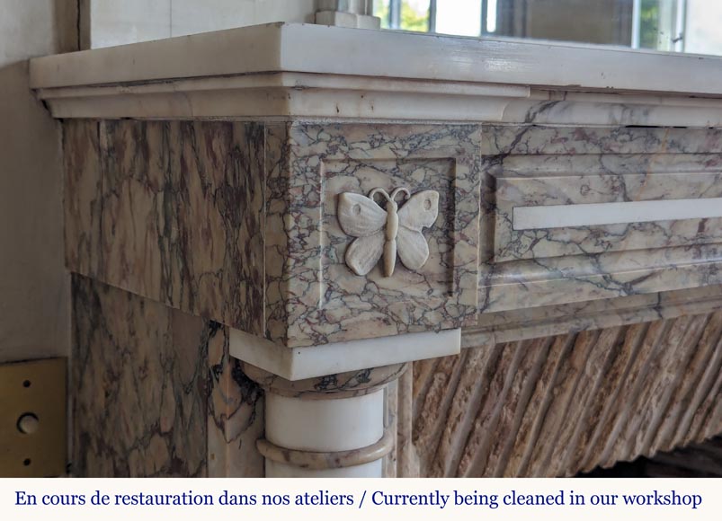Cheminée de style Directoire bicolore en marbre décorée de papillons Cheminée de style Directoire bicolore en marbre décorée de papillons-3